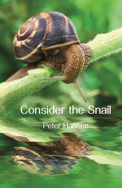 Consider the Snail, Peter Hansen