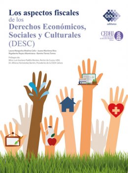 Los Aspectos fiscales de los derechos económicos, sociales y culturales (DESC) 2020, Rigoberto Reyes Altamirano, Juana Martínez Ríos, Laura Margarita Medina Celis, Ramiro Torres Torres