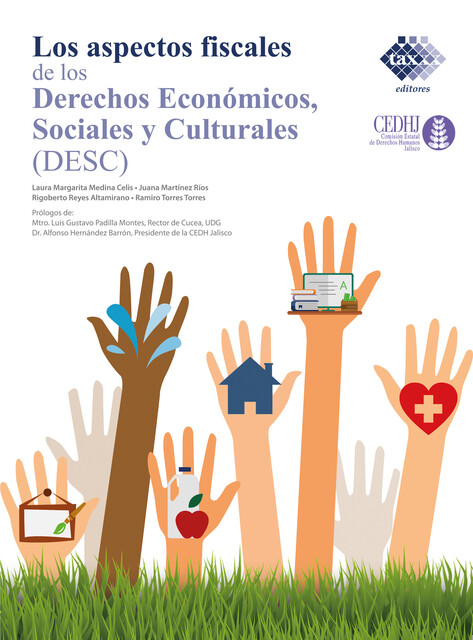 Los Aspectos fiscales de los derechos económicos, sociales y culturales (DESC) 2020, Rigoberto Reyes Altamirano, Juana Martínez Ríos, Laura Margarita Medina Celis, Ramiro Torres Torres