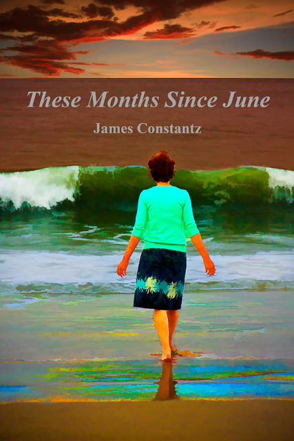 These Months Since June, James Constantz