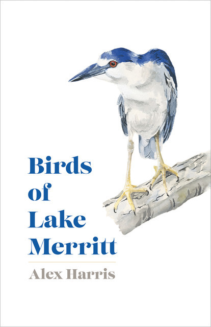 Birds of Lake Merritt, Alex Harris