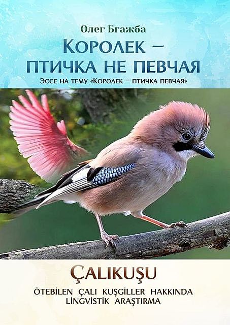 Королек — птичка не певчая, Олег Бгажба