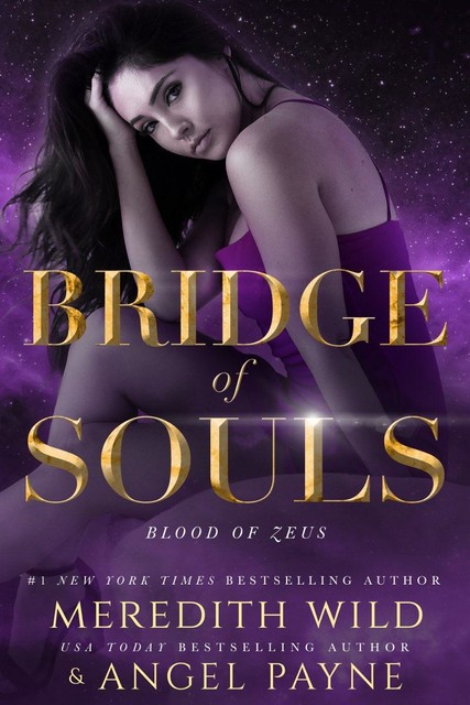 Bridge Of Souls, Meredith Wild, Angel Payne