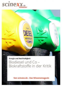 Biodiesel und Co, Ansgar Kretschmer