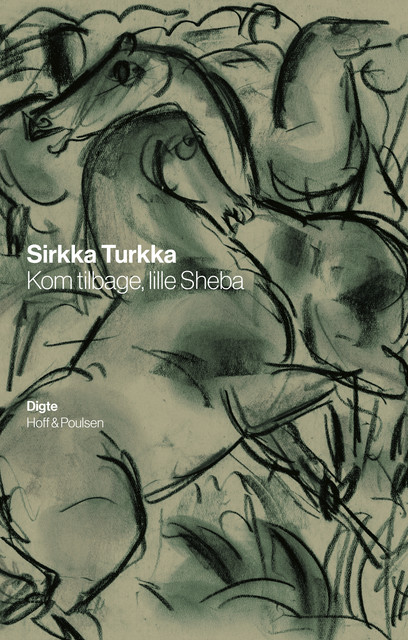 Kom tilbage, lille Sherba, Sirkka Turkka