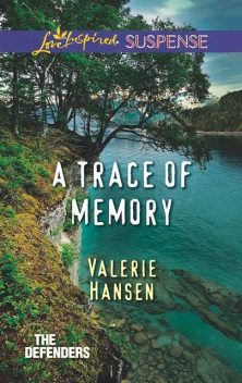 A Trace Of Memory, Valerie Hansen