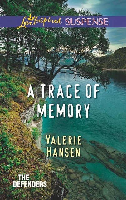 A Trace Of Memory, Valerie Hansen