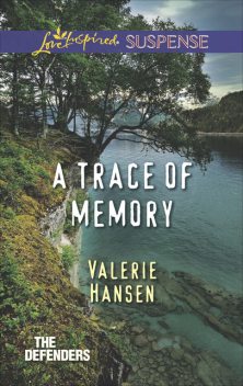 A Trace Of Memory, Valerie Hansen