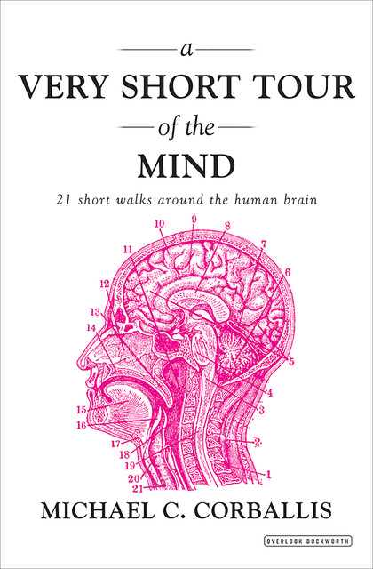 A Very Short Tour of the Mind, Clifton R.Spargo