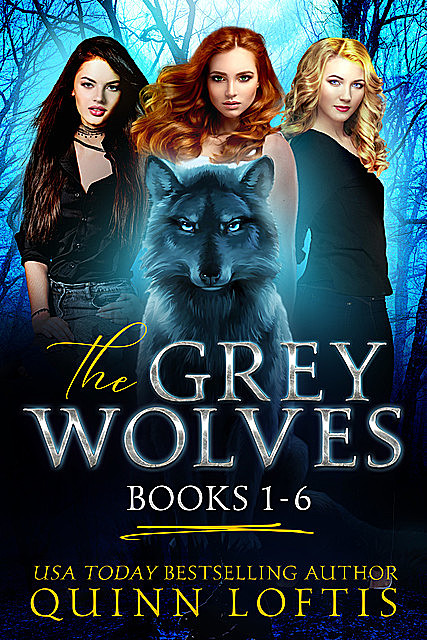 The Grey Wolves Series Books 1–6, Quinn Loftis