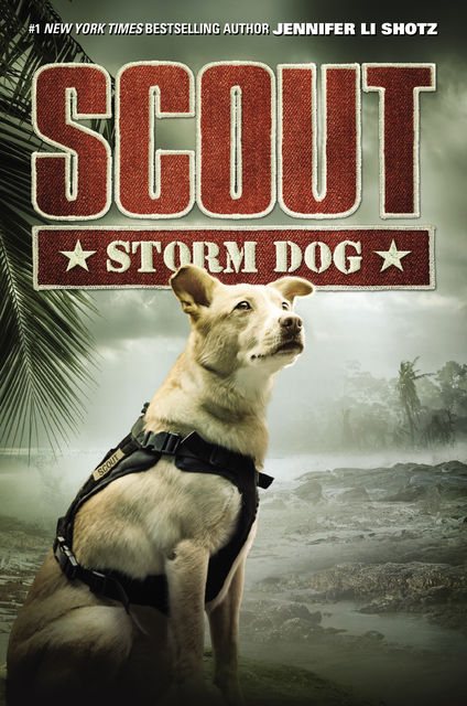 Scout: Storm Dog, Jennifer Li Shotz