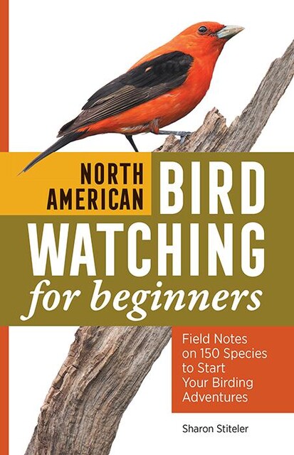North American Bird Watching for Beginners, Sharon Stiteler