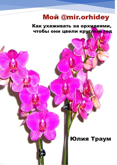 Мой @mir.orhidey. Как ухаживать за орхидеями, чтобы они цвели круглый год, Юлия Траум