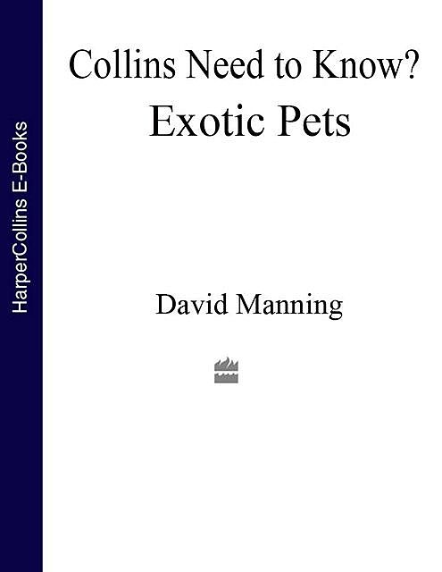 Exotic Pets, David Manning