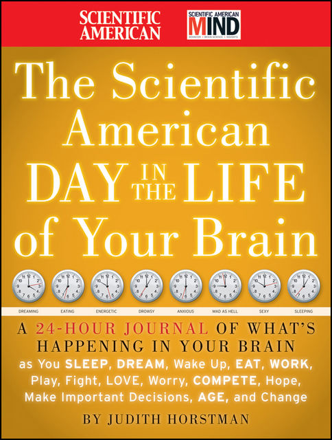The Scientific American Day in the Life of Your Brain, Judith Horstman