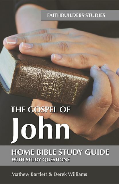The Gospel of John, Derek Williams, Mathew Bartlett