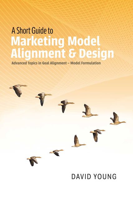 A Short Guide to Marketing Model Alignment & Design, David Young