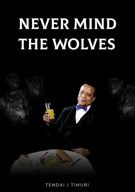 Never Mind the Wolves, Tendai Timuri