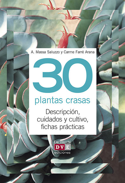 30 plantas crasas, A.Massa Saluzzo, Carme Farré Arana