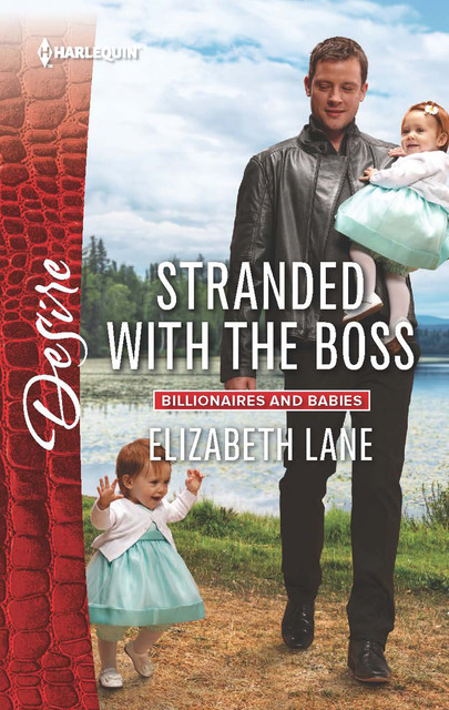 Stranded with the Boss, Elizabeth Lane