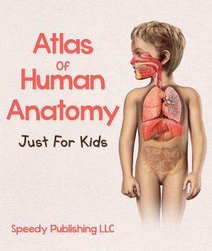 Atlas Of Human Anatomy Just For Kids, Speedy Publishing
