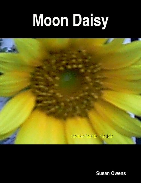 Moon Daisy, Susan Owens