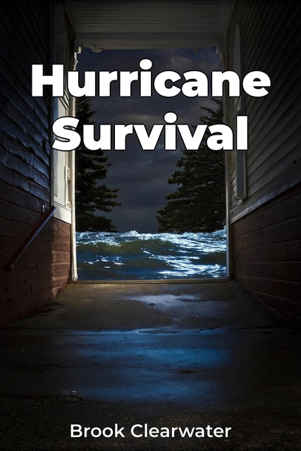 Hurricane Survival, Brook Clearwater