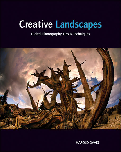Creative Landscapes, Harold Davis