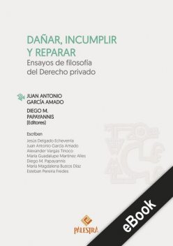 Dañar, incumplir y reparar, Juan Antonio García Amado