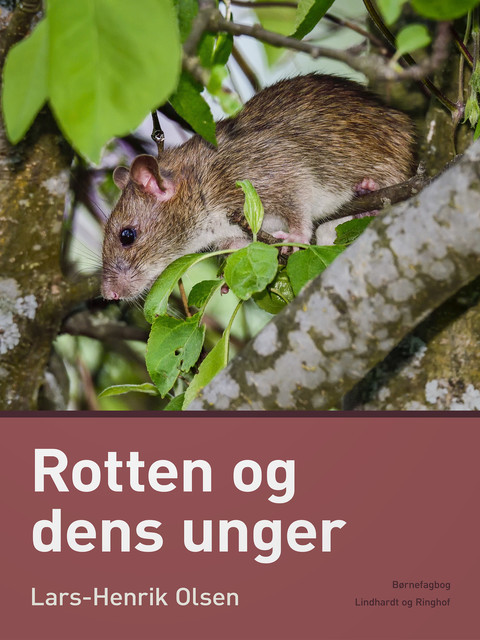 Rotten og dens unger, Lars-Henrik Olsen