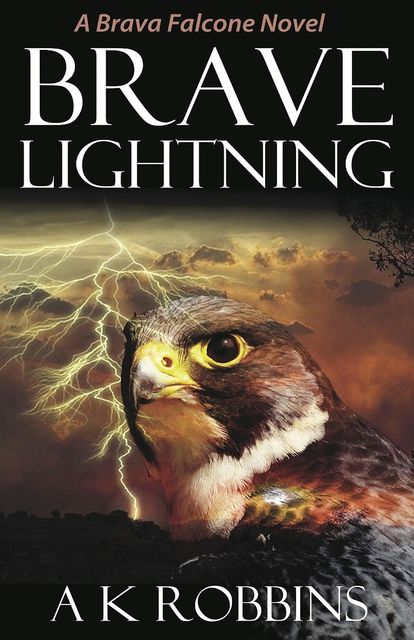 Brave Lightning, AK Robbins