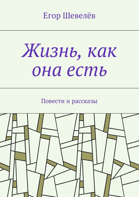 Жизнь, как она есть, Егор Шевелёв