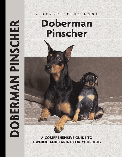 Doberman Pinscher, Lou-Ann Cloidt