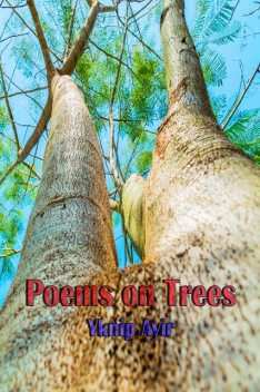 Poems on Trees, Yknip Ayir
