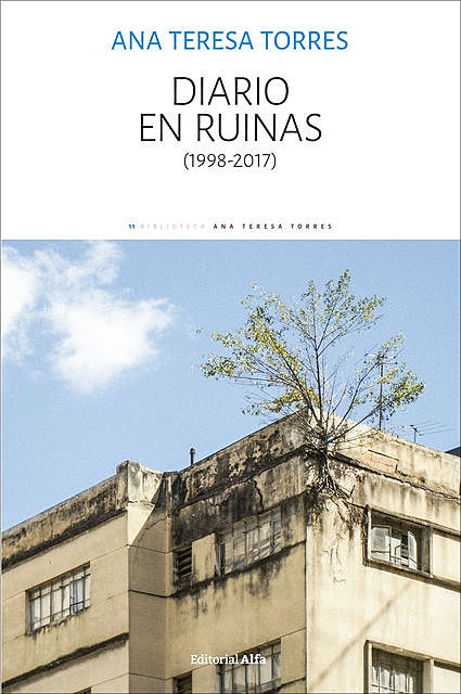 Diario en ruinas, Ana Teresa Torres