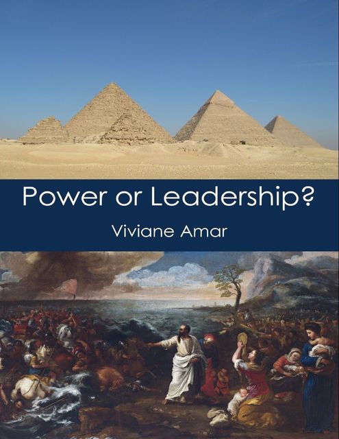 Power or Leadership?, Viviane Amar