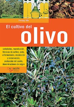 El cultivo del olivo, Pierluigi Villa