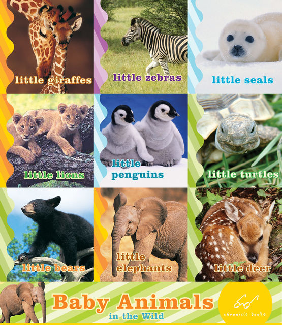 Baby Animals in the Wild, Chronicle Books