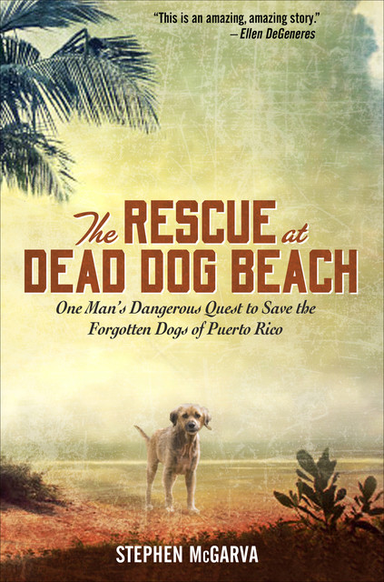The Rescue at Dead Dog Beach, Stephen McGarva