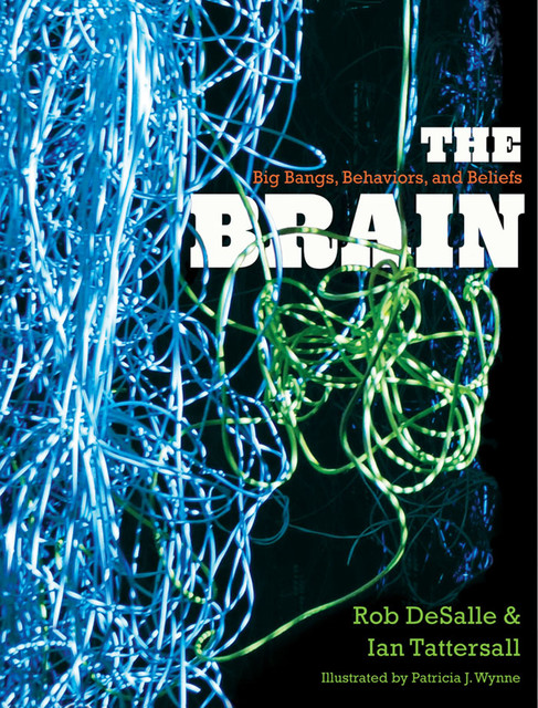 The Brain, Ian Tattersall, Rob DeSalle