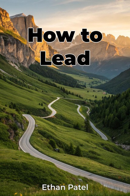 How to Lead, Ethan Patel