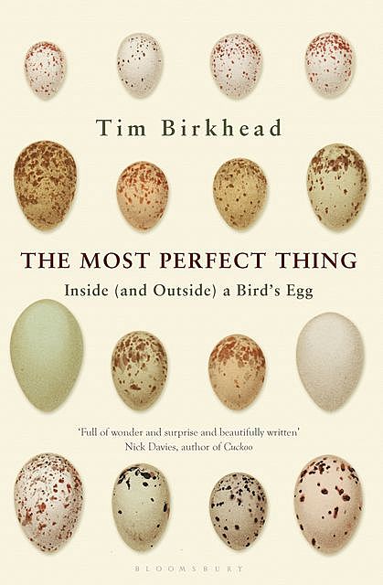 The Most Perfect Thing, Tim Birkhead