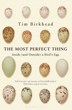 The Most Perfect Thing, Tim Birkhead