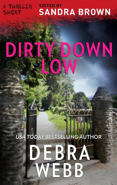 Dirty Down Low, Debra Webb