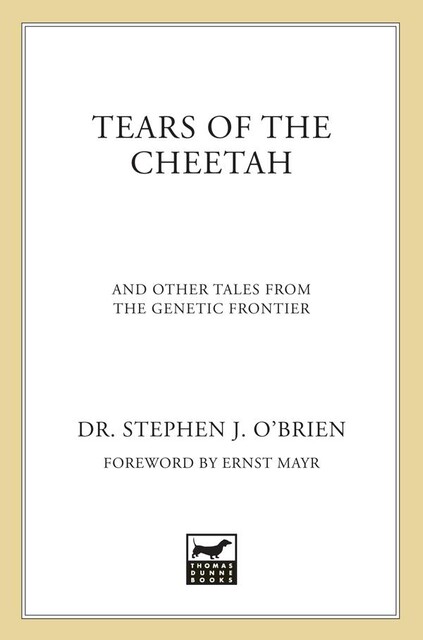 Tears of the Cheetah, Stephen J. O'Brien