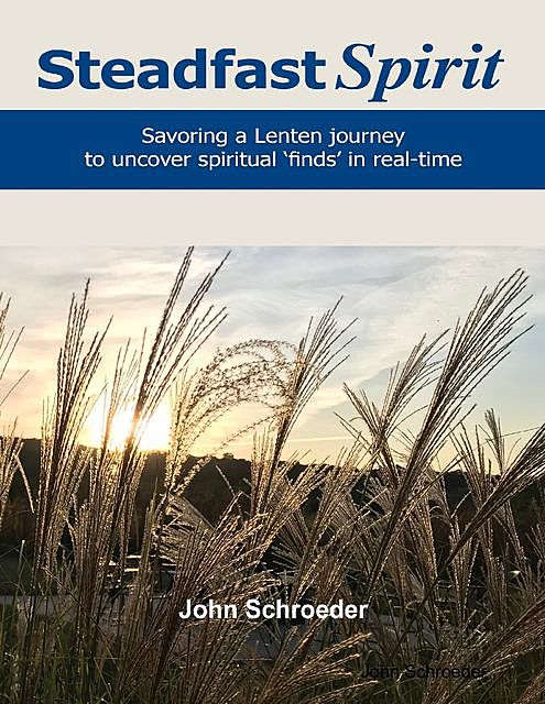 Steadfast Spirit: Savoring a Lenten Journey to Uncover Spiritual Finds in Real-Time, John Schroeder