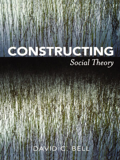 Constructing Social Theory, David Bell