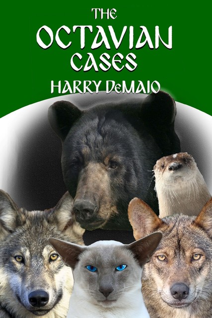 The Octavian Cases, Harry DeMaio