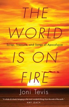 The World Is on Fire, Joni Tevis