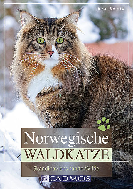 Norwegische Waldkatze, Eva Ewald